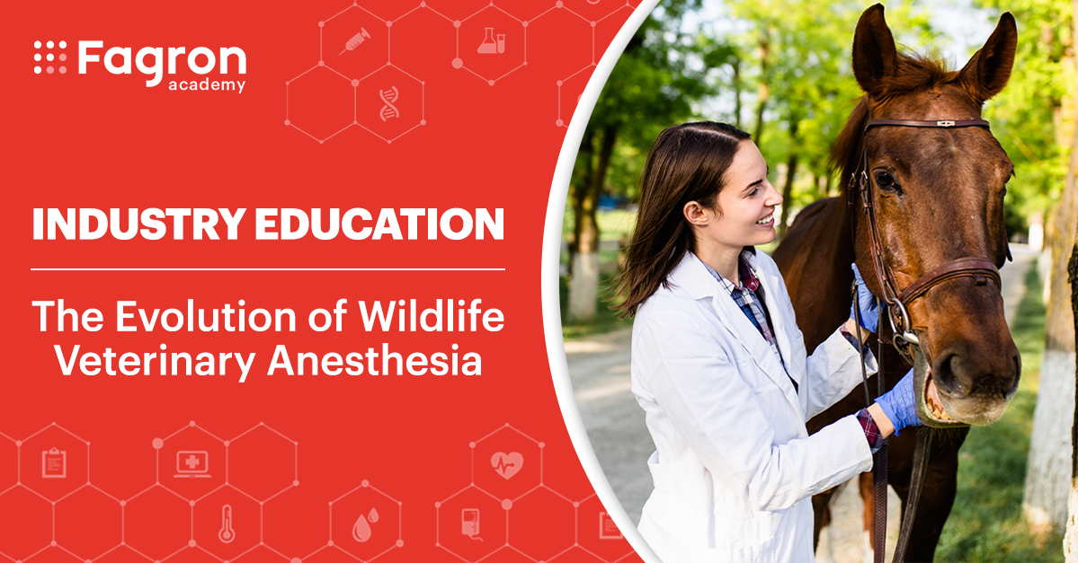 The Evolution of Wildlife Veterinary Anesthesia and the Start of